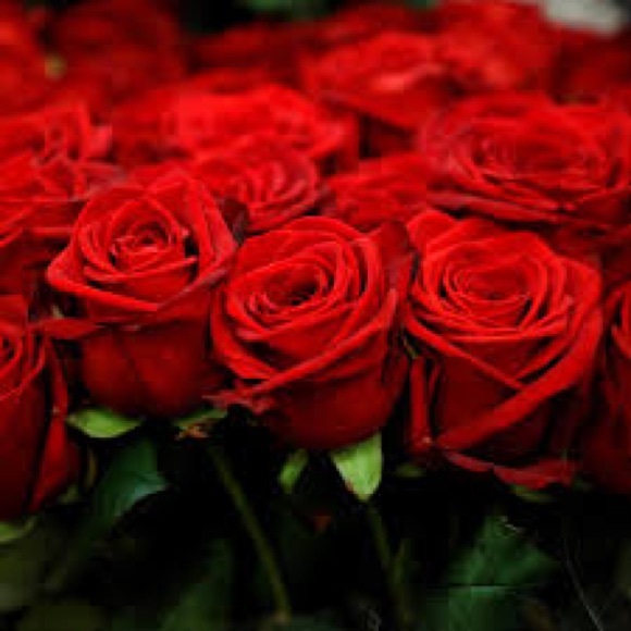 Meet your Posher, Baba’s - Picture 7 of 7